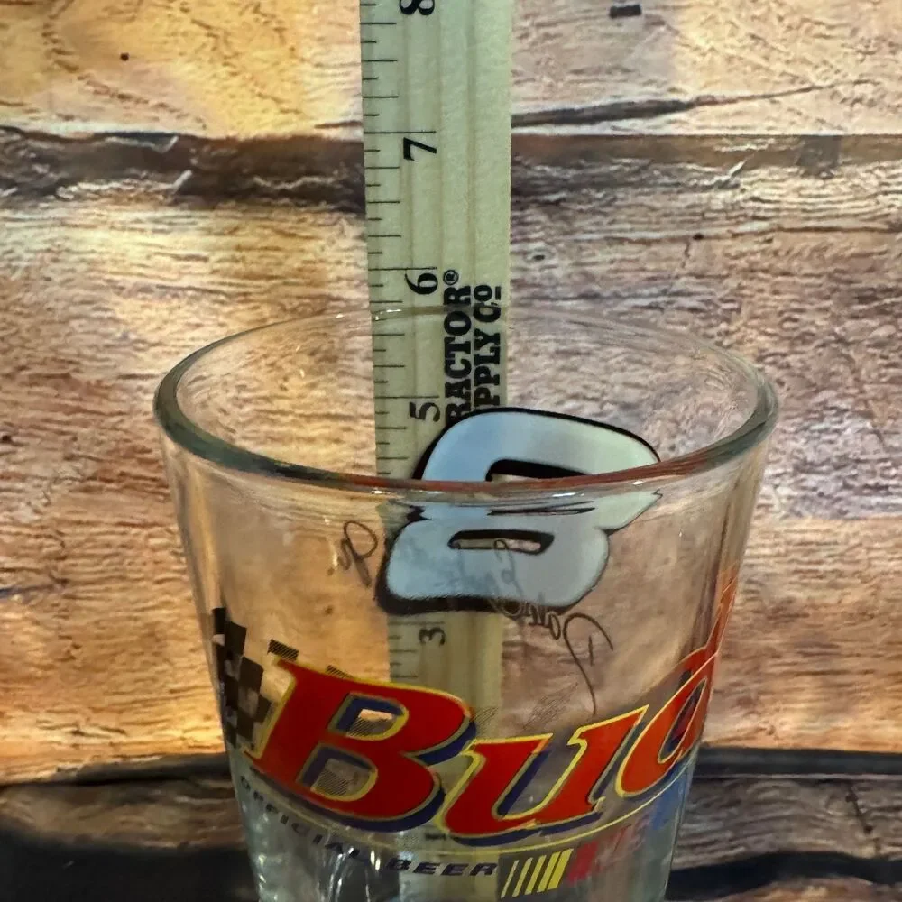 Budweiser NASCAR Dale Earnhardt Jr. #8 Pint Glass Racing Collectible